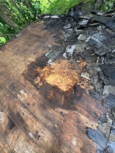 roof repairs